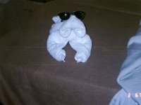 photos 2000-200900108